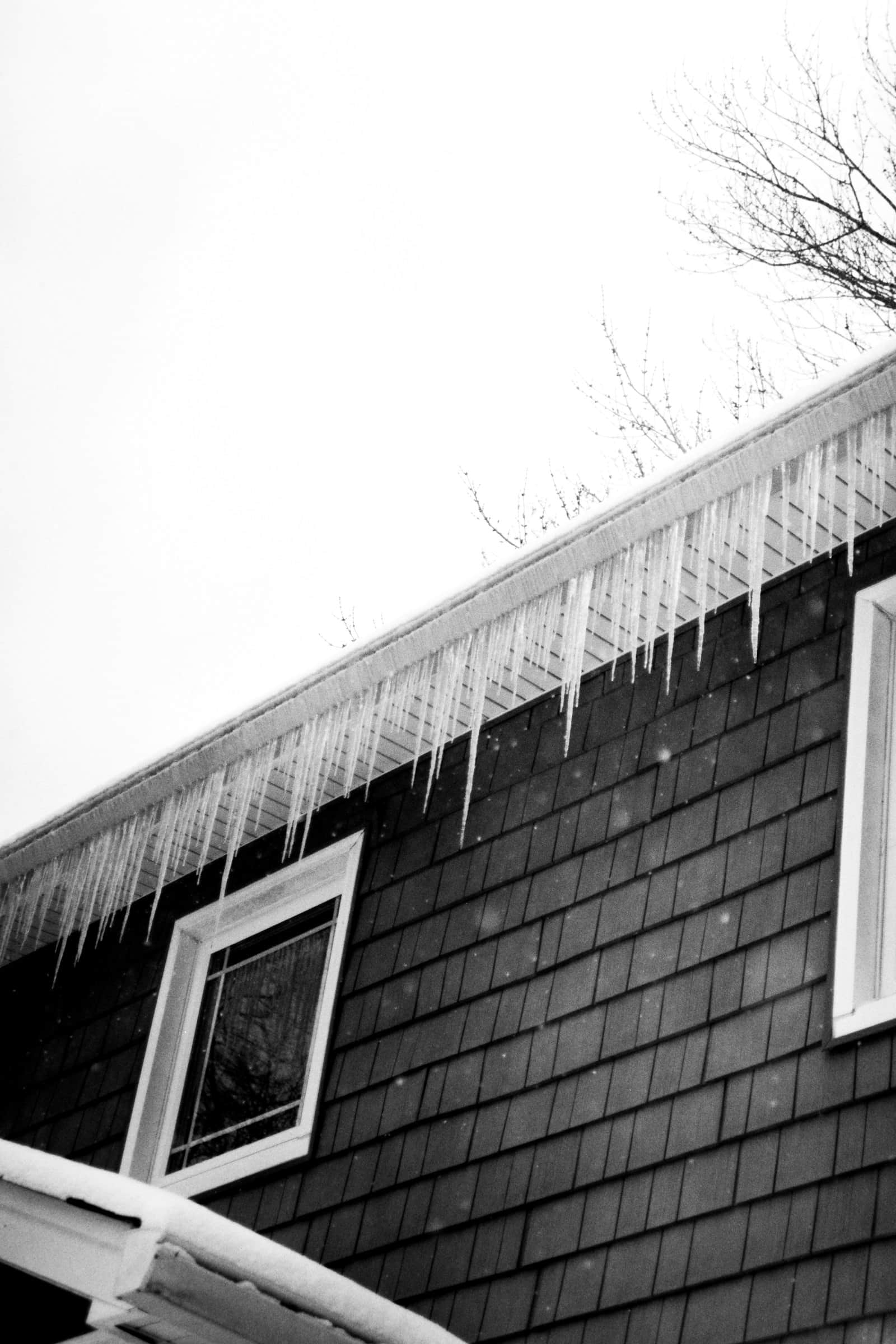 Icicles hanging from the roof edge of a shingled Wisconsin house in winter